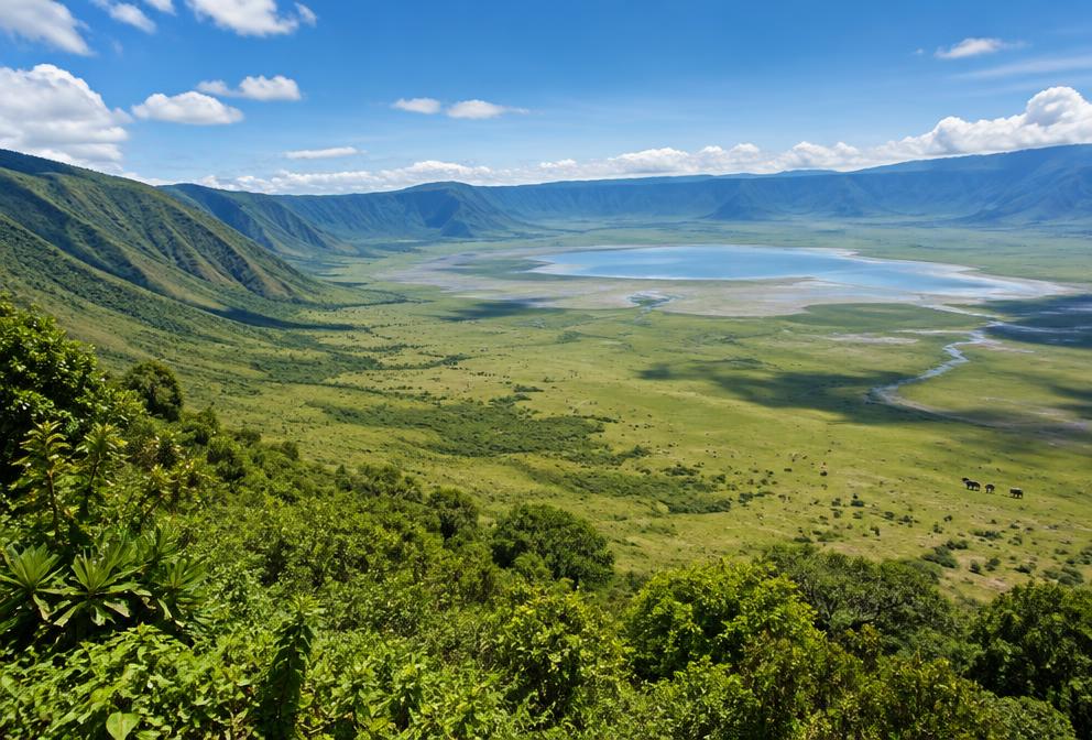 Serengeti to the Ngorongoro Crater rim