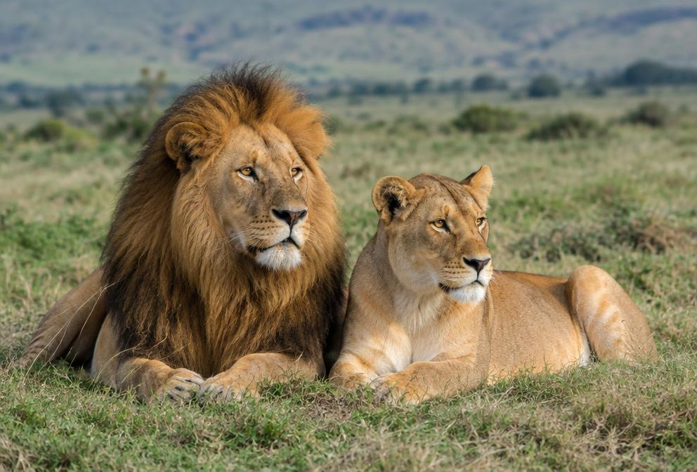 Central Serengeti